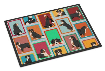 NEW Lots of Bernese Mountain Dog Doormat Front Door Mat Indoor Outdoor Rugs for Entryway, Non Slip Washable Low Pile, 18H X 27W
