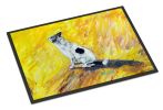 Sleeping In The Sunshine Dog Doormat Front Door Mat Indoor Outdoor Rugs for Entryway, Non Slip Washable Low Pile, 24H X 36W