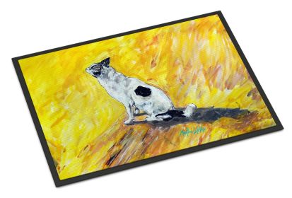 Sleeping In The Sunshine Dog Doormat Front Door Mat Indoor Outdoor Rugs for Entryway, Non Slip Washable Low Pile, 24H X 36W