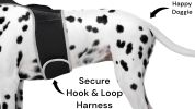 Rechargeable Pocket GPS GSM Tracking Collars for Hunting Dogs Realtime Size:XXL