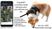 Rechargeable Pocket GPS GSM Tracking Collars for Hunting Dogs Realtime Size:XXL