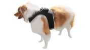 Enhanced GSM GPS Mini Pet Locator Tag Waterproof Dog/Cat Tracking Sys Size:L