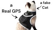 Enhanced GSM GPS Mini Pet Locator Tag Waterproof Dog/Cat Tracking Sys Size:L
