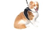 Enhanced GSM GPS Mini Pet Locator Tag Waterproof Dog/Cat Tracking Sys Size:L