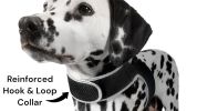 Enhanced GSM GPS Mini Pet Locator Tag Waterproof Dog/Cat Tracking Sys Size:L