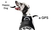 Enhanced GSM GPS Mini Pet Locator Tag Waterproof Dog/Cat Tracking Sys Size:L